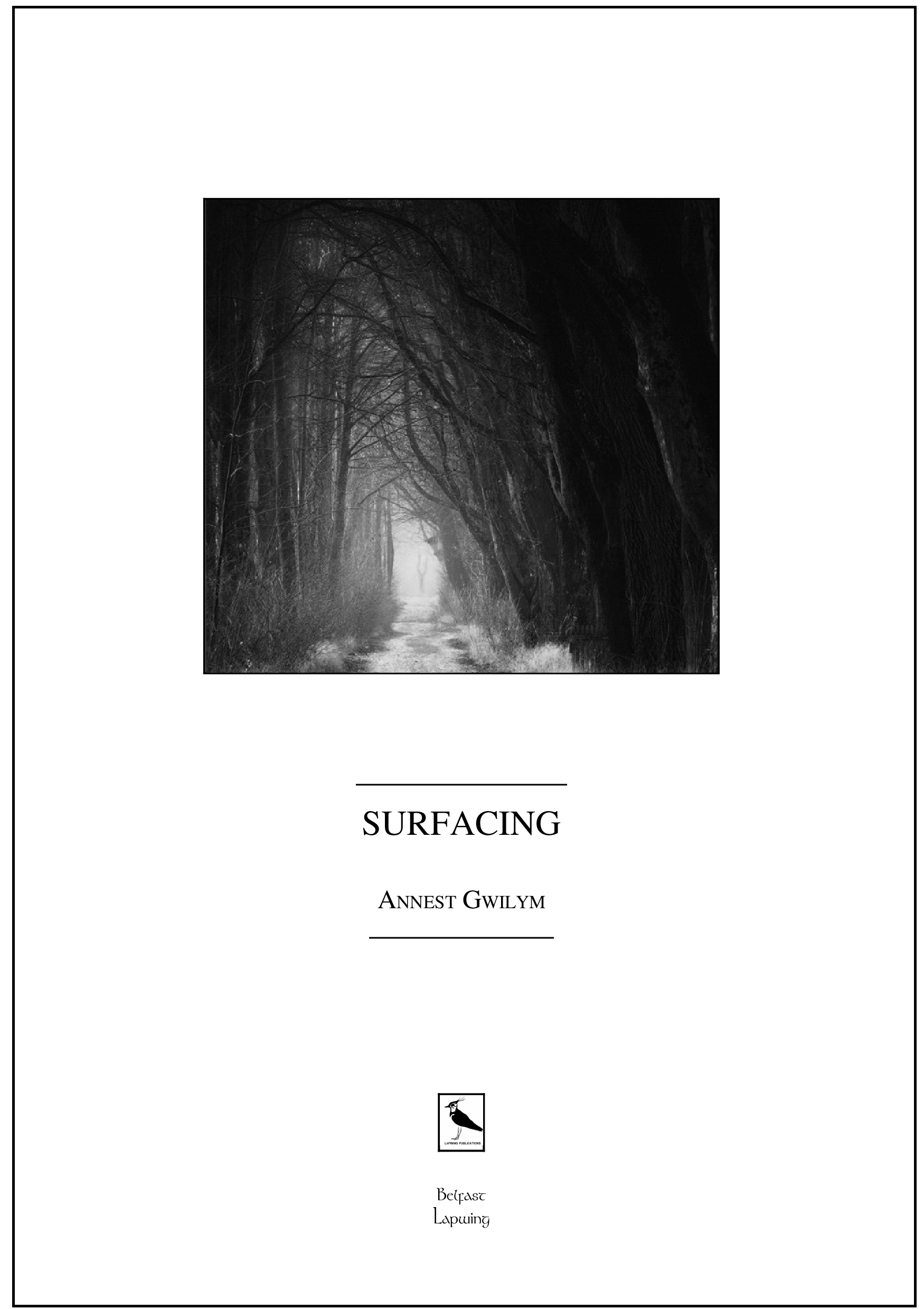 Poetry Pamphlet Review: Surfacing by Annest Gwilym | Sammi Loves Books